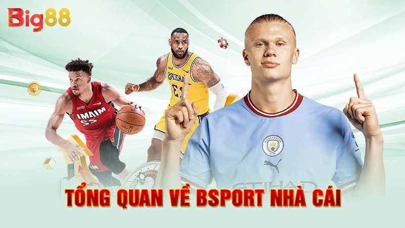Tổng quan về Bsport nhà cái