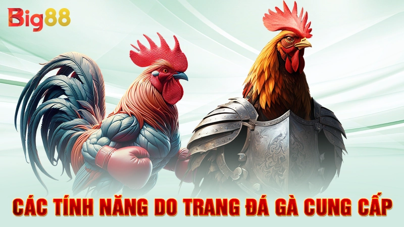 Các tính năng do trang đá gà cung cấp 