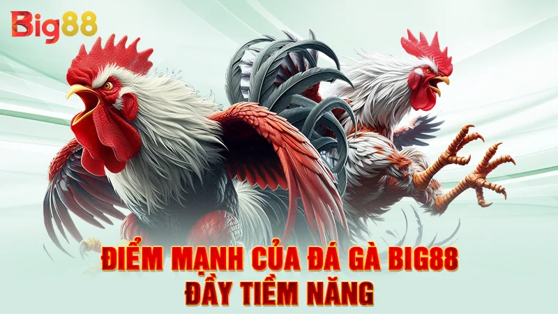 Điểm mạnh của đá gà Big88 đầy tiềm năng