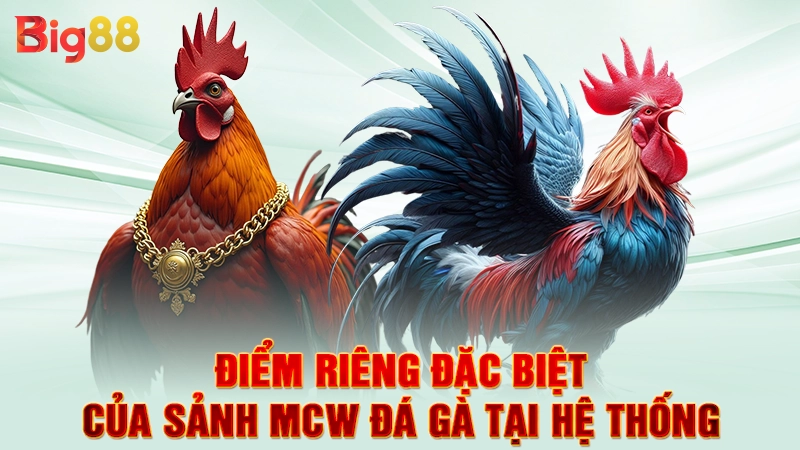 Điểm riêng đặc biệt của sảnh Mcw đá gà tại hệ thống