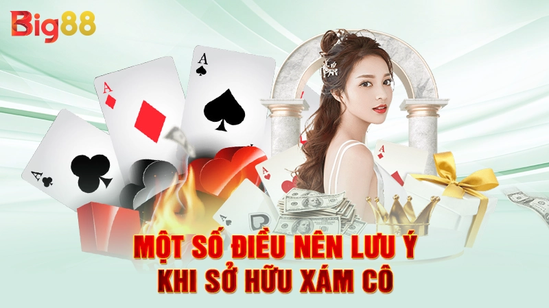 Một số điều nên lưu ý khi sở hữu xám cô