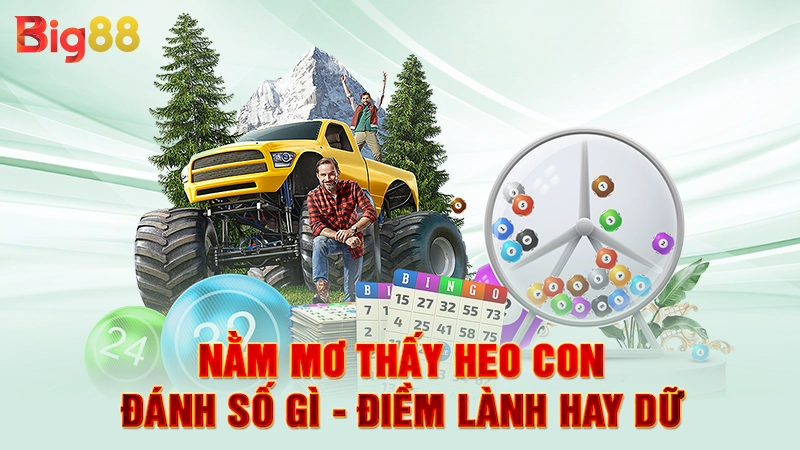 Nằm Mơ Thấy Heo Con Đánh Số Gì - Điềm Lành Hay Dữ