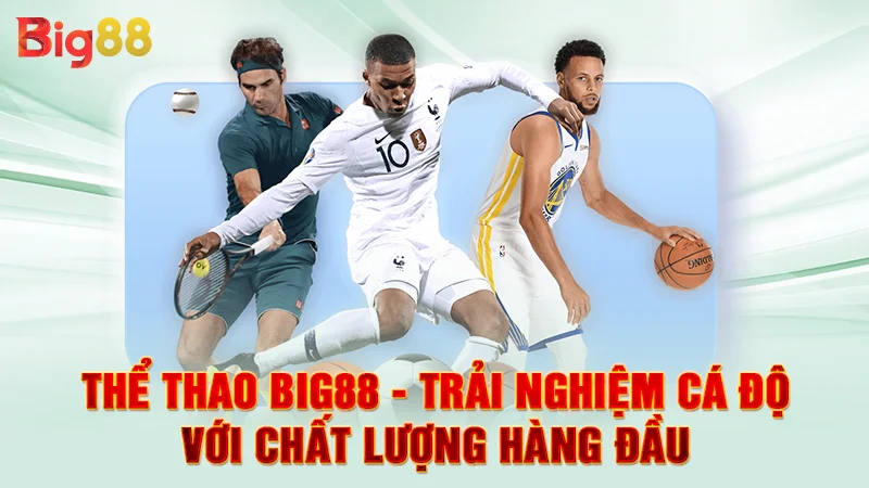 Thể thao Big88 - Trải nghiệm cá độ với chất lượng hàng đầu