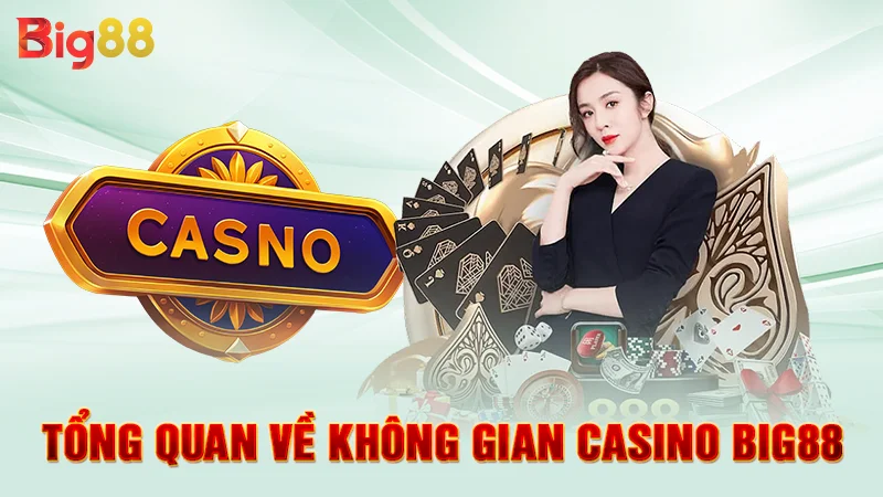 Tổng quan về không gian casino Big88